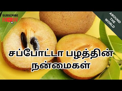 Health benefits of Sapota fruit | Around the World