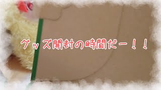 【いれいす2025お正月グッズ】もう一度登場､､!?グッズ開封の時間だー！！꒰՞ ꜆ ܸ. . ܸ ꒱꜆