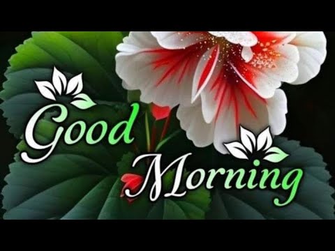 Ep-1//Good morning wishes with Beautiful images. subscribe @smilingthulasi3686