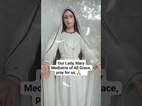 Our Lady, Mary Mediatrix of All Grace, pray for us.🙏🤍