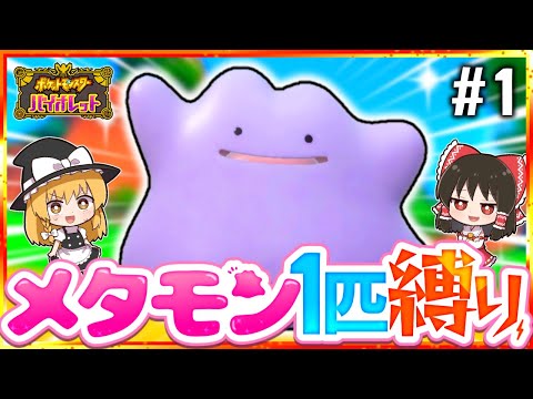 【ポケモンSV】メタモン1匹縛りでストーリークリアを目指す旅#1【スカーレット・バイオレット】【ゆっくり実況】