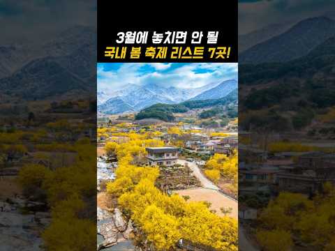 3월에 놓치면 안될 국내 여행지 축제 리스트 6곳!