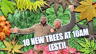 Start the Year of RIGHT with these NEW TREES on the 10@10 for January 9th 2024 w/ Matt and Tim!