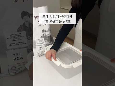 쌀 보관법 쌀통 추천 살림 꿀팁 쿠팡 다이소