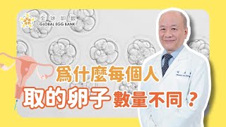 【好孕智多星Dr.IVF】取卵數取決於卵子庫存量！卵子庫存量AMH一驗就知道！