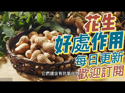 EP167 花生（Peanuts）的好處與作用 增強抗氧化能力花生富含蛋白質、健康脂肪、纖維、維生素