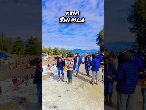 Kufri _shimla...............#shorts  #kufri #kufrisnowfall #kufrishimla #shimla #trendind #ytshorts