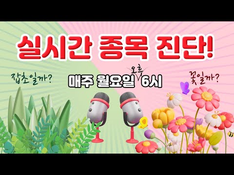 11/27, 5대 증권사 매수추천 중, 명신산업(장기적 꽃), 한샘(반등시 아름다운 꽃), 삼양사(땅속 꽃씨), 한전(2개월 후 다시)