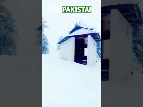 Heavy Snowfall Blankets Malam Jabba (19th Feb 2024)