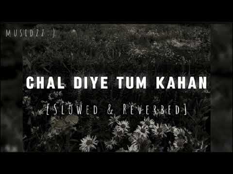 Chal diye tum kahan(Slowed & Reverbed)