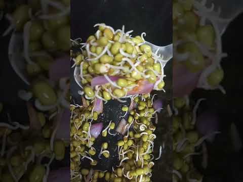 Moongdal Sprouts|| Evening snacks