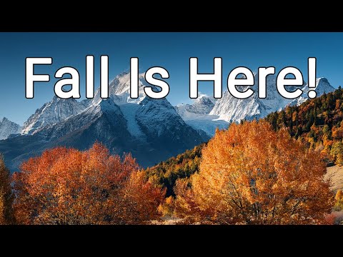 Driving Utah's Fall Leaves and Canyons