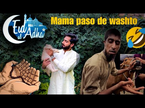 Eid series | bohat ziyada garmii ha 😤 | Qurbani ka din mama paso oshwa 😂♥️