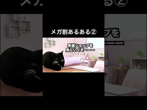 【Qoo10メガ割あるある】メガ割追加クーポン我慢できる？ #猫ミーム