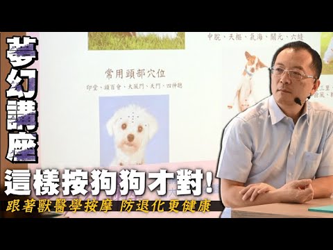 這樣按狗狗才對! 跟著獸醫學按摩 防退化更健康