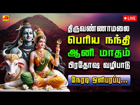 🔴  LIVE திருவண்ணாமலை ஆணி  மாத  பிரதோஷம் பெரிய  நந்தி அபிஷேகம் மற்றும் ஆராதனை  #liveproadhasham #live