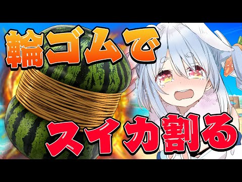 【輪ゴムでスイカ割り】何本で割れるか検証する！！！！！！！！！！！！ぺこ！【ホロライブ/兎田ぺこら】