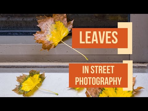 Using Leaves in Street Photography