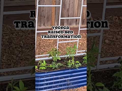 Before/After #vegega raised bed transformation