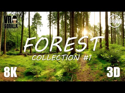 Forest Collection (short) #1 - Jungle, Autum, European Summer Forest - 8K 3D Virtual Reality 360