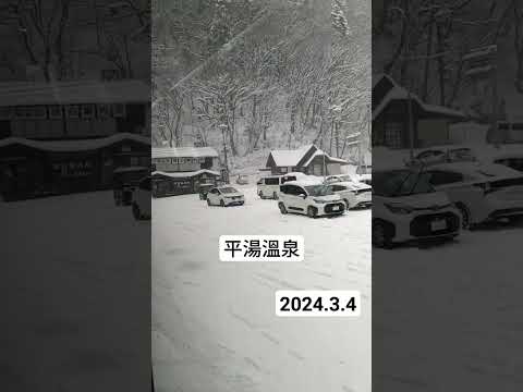 平湯溫泉 降雪 2024.3.4