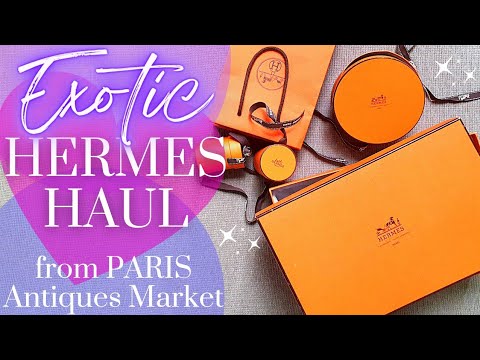 EXOTIC HERMÈS FINDS FROM PARIS ANTIQUES MARKET!