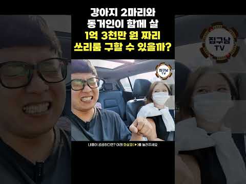 강아지2마리+동거인이 함께 살 인천 자취방 구하기! 1.3억에 준식축 쓰리룸 전세집 구하기 #자취녀 #자취남 #자취방 #전세 #인천중기청 #인천전세