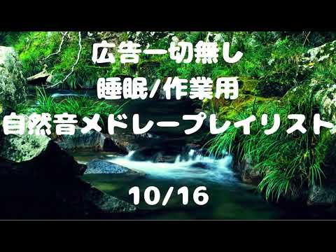 【広告無】水音とシュレーゲルアオガエル　メドレー【自然音】