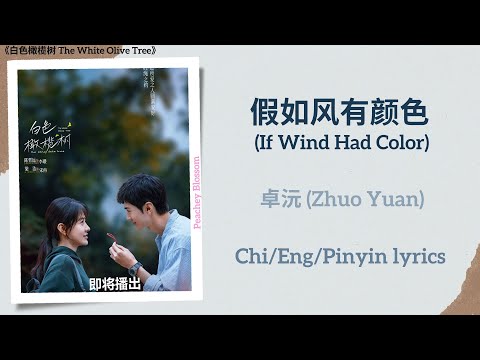 假如风有颜色 (If Wind Had Color) - 卓沅 (Zhuo Yuan)《白色橄榄树 The White Olive Tree》Chi/Eng/Pinyin lyrics