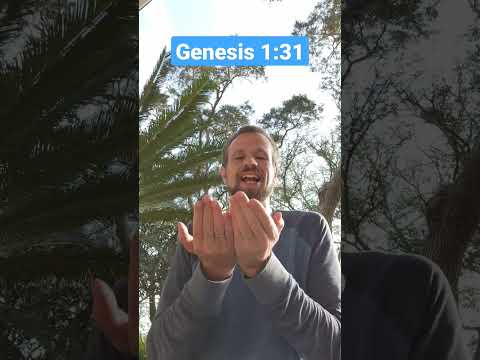 It Was Very Good! (Genesis 1:31) | Memory Verse Song and Motions for Kids