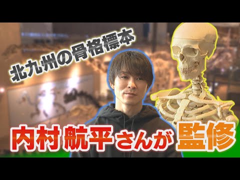 体操の金メダリスト内村航平さんが骨格標本を監修　骨に着目して体操をしてきた