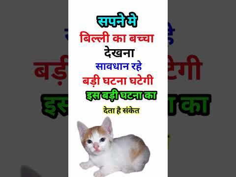 Sapne Me Mari Billi Dekhna | सपने मे मरी बिल्ली देखना | Seeing Cats In Dream | #Cat_Dream