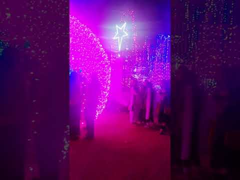 Christmas celebration at Koraput # shorts video