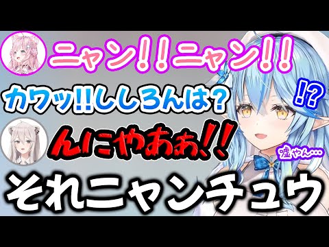 あまりに違い過ぎるダメージボイスに思わずツッコんでしまう雪花ラミィ【ホロライブ/ホロライブ切り抜き】