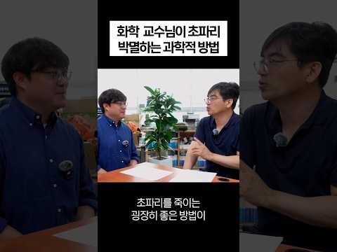 여름 초파리 '이것만' 뿌리면 자취를 감춥니다. 화학 교수님의 1분 생활 꼼수