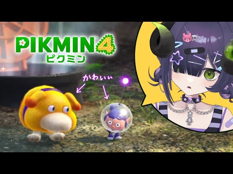 【 ピクミン4 #3 】収集○ ダンドリ△ な半悪魔がわたわた頑張るピクミン4【 #泡魔ねふぃ / #Vtuber 】