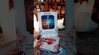 What you need to hear today | Red Fairy Tarot #shorts