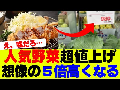 【悲報】人気野菜の値段、ガチで想像の5倍高くなってしまうｗｗｗ【炎上】