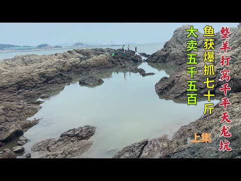 【阿向趕海】耗資4500盤1000平天龍坑 魚獲爆抓70公斤 大賣5500 穩賺不賠開心就好【上集】