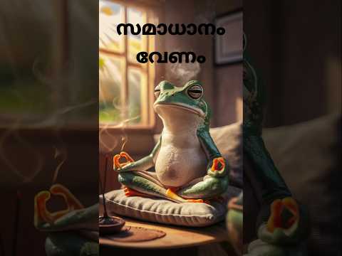 ജീവിതത്തിൽ സമാധാനം വേണമെങ്കിൽ ദേ ഇതൊന്ന് കാണ് #shorts #shortsfeed #shortsvideo