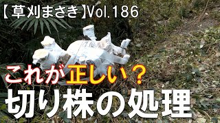 【伐採】これが正しい？、切り株の処理！