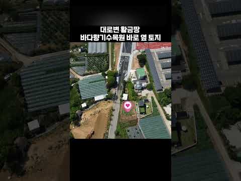 (구경하기 No.1105) 대부도 바다향기수목원 바로 옆 대로변 토지 / 대부도부동산