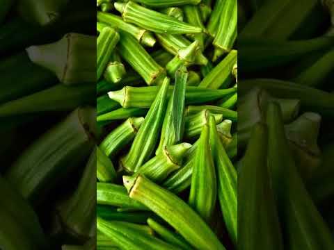 #Okra#Lady's finger #viral#shorts