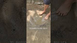 어싱 나만의 장소에서 이렇게 하셔도 됩니다. #어싱 #earthing #자유전자 #건강 #맨발걷기