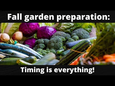 Fall garden preparation: Timing is everything!