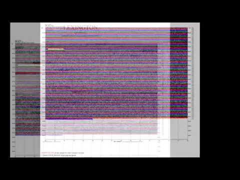 Seismic and Strong-Motion Network Tutorial