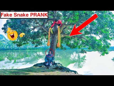 King Cobra Snake And Fake Tiger PRANK | Funny Reaction on Public | So Funny Pranks | ComicaL TV