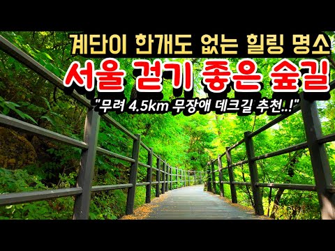 계단이 단 한개도 없는 서울의 걷기 좋은 숲길 추천ㅣ4.5KM 무장애 데크길 트래킹ㅣ도심 속 힐링 명소 추천ㅣ대중교통 여행지ㅣ걷기 명소ㅣ지하철 여행지ㅣ당일치기 여행지