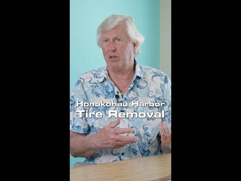 Tires are polluting our harbors & are leaching toxins into our waters. #hawaii #marineconservation