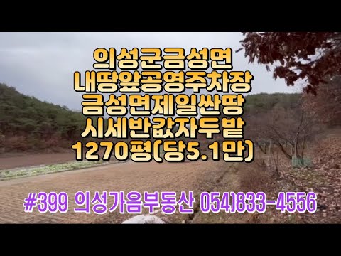 #399 의성가음부동산 금성면 제일싼땅 6500만 (당5.1만) 급매 싼물건 1270평 계곡입구 산밑 언덕위 자두밭 저수지포함 전기건축가능 앞큰공터 공용주차장 다용도땅 #의성땅